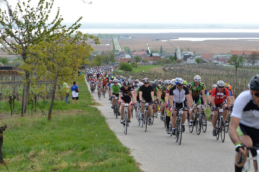 Austria Top Tour Auftakt beim Neusiedler See Radmarathon mit Start und Ziel in Mörbisch