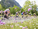 Tiroler Siege bei Dolomitenradrundfahrt und SuperGiroDolomiti 9. 6.2019